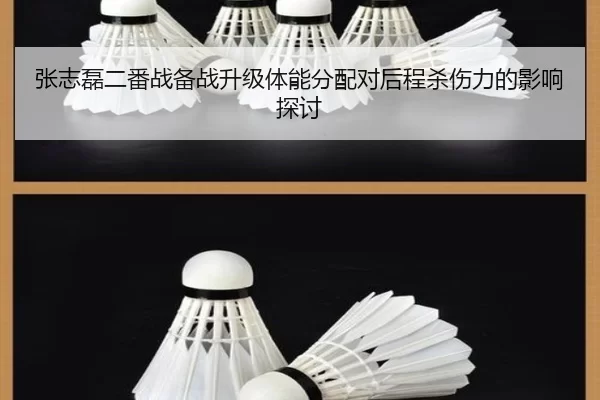 张志磊二番战备战升级体能分配对后程杀伤力的影响探讨