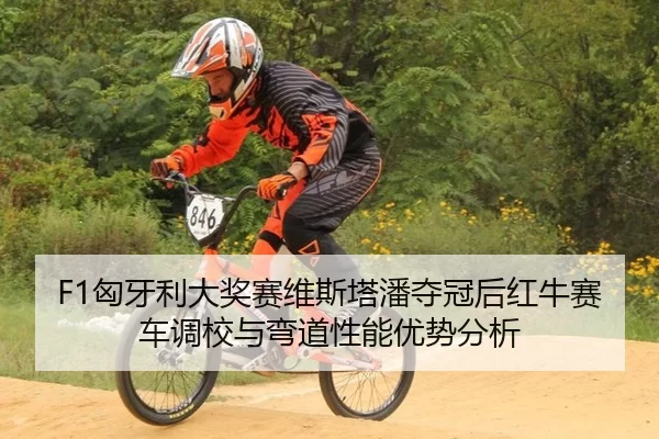 F1匈牙利大奖赛维斯塔潘夺冠后红牛赛车调校与弯道性能优势分析